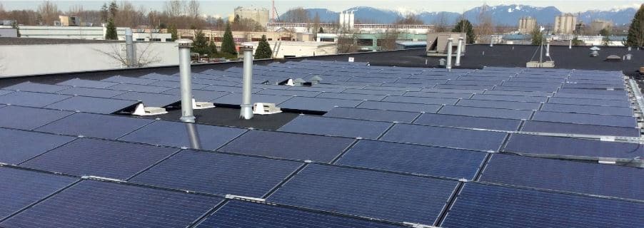 Case study photovoltaic cells answer key picture