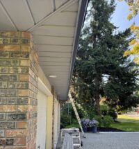 Soffit Repairs/Replacement