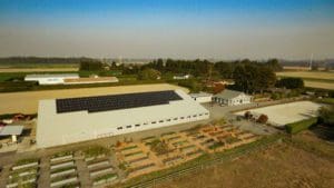 Solar Panels Agriculture Farm