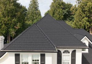 Black_EcoRoof_Abbotsford