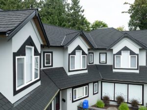 Black_EcoRoof_Langley